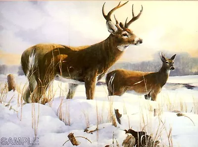 Mario Fernandez  Broken Fence - Whitetail Deer  Limited Edition Print • $99