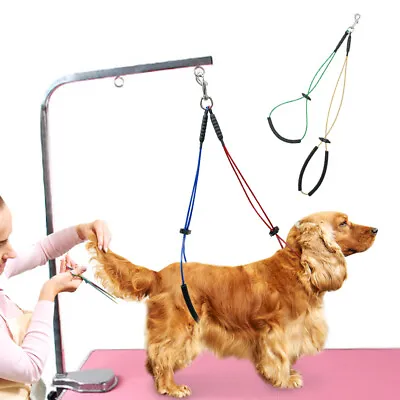 Haunch Holder Grooming Dog Harness No Sit Leash Arm Loop Restraint Medium Large • $32.99