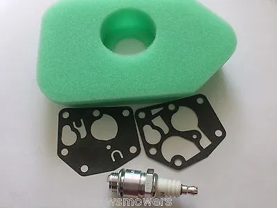 £14.99 • Buy Hayter Spirit Mower Tune Up Kit Diaphragm, Air Filter Spark Plug, Our Type  A 