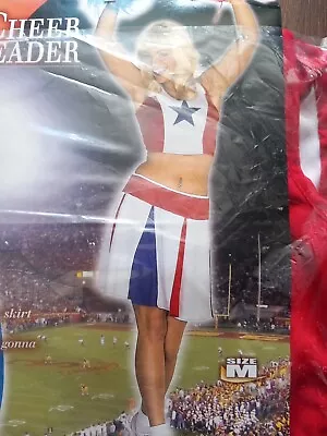 Cheerleader Sports Girls Top Skirt Hen Fancydress Cosplay Grease Costume Meduim  • £9