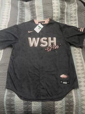 Nike Washington Nationals Cherry Blossom Blank City Connect Jersey - Genuine XL • $114.99