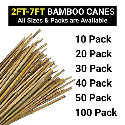 2FT 3FT 4FT 5FT 6FT 7FT Bamboo Canes Strong Thick Garden Plant Support Stick • £6.89