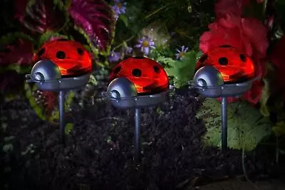 3x Solar Powered Ladybird Stake Lights Novelty Outdoor Lamps Animal Patio Border • £10.99