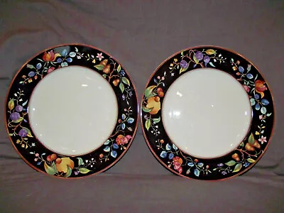 Set Of 2 Mikasa Autumn Grove (CAM17) Dinner Plates • $58