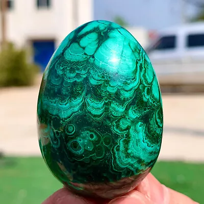 120G Natural Glossy Malachite Egg Transparent Cluster Rough Mineral Sample • $0.99