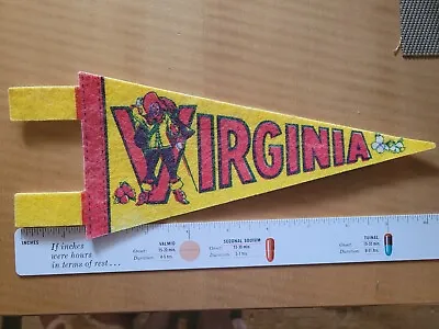 Vintage State Of Virgina Travel Souvenir Pennant • $6