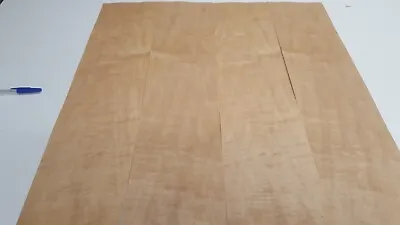 Steamed Figured Maple Veneer - 4 NATURAL WOOD SHEETS - 650mm X 150mm • £17.50