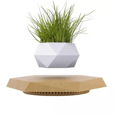 Levitating Plant Pot - Magnetic Rotating Planter For SucculentsCreative Decor • $66.99