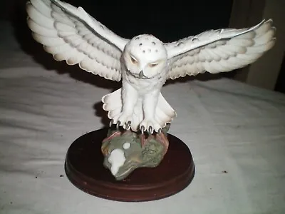 Very Detailed Maruri Eyes Of The Night Snowy Owl • $30.99