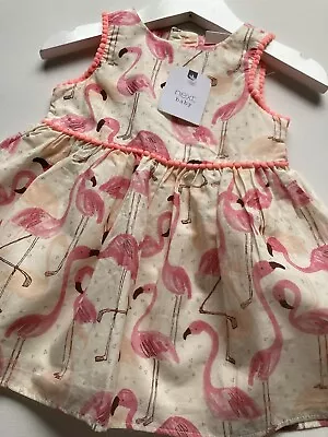 FLAMINGO Print Beautiful Occasion Dress By NEXT Baby Girls Clothing 3-6 Months🦩 • £7.99