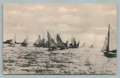 Boat Racing MANTOLOKING NJ Vintage New Jersey Shore Sailboats Postcard 1947 • $11.69