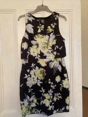 £6 • Buy Dorothy Perkins Floral Peplum Dress Size 12