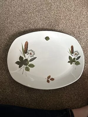 Midwinter Stylecraft Riverside Serving Oval Plate Platter • £5