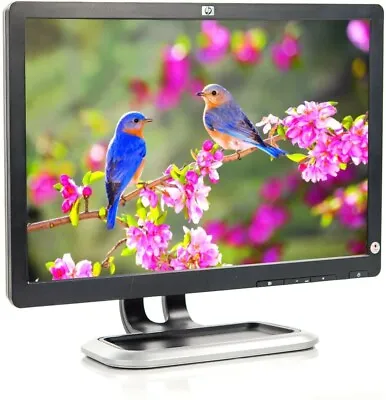 HP 19  Monitor 1440 X 900 LCD Screen 16M Colors 60 Hz 5ms VGA DVI Ports • $39.99