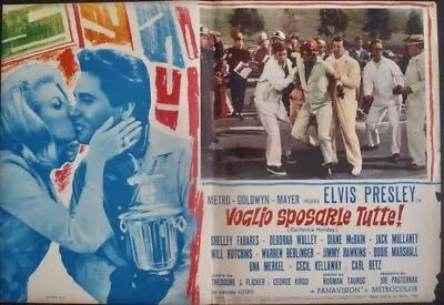 SPINOUT Italian Fotobusta Movie Poster 3 ELVIS PRESLEY 1966 VERY RARE • $175