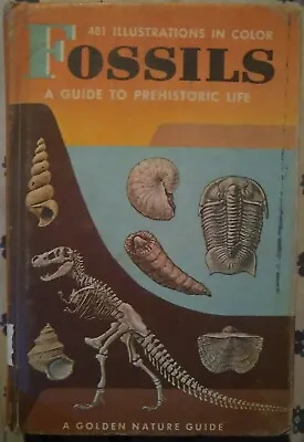 $5 • Buy Vintage Golden Nature Guide Fossils: A Guide To Prehistoric Life Hardcover Book