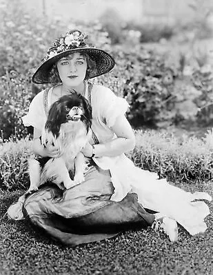 1921 Actress Mildred Davis And Her Dog Vintage Old Photo 8.5  X 11  Reprint • $14.01