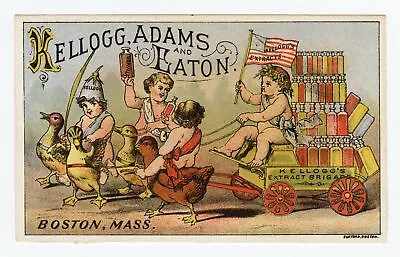 Victorian Kellogg Adams & Eaton Extract Trade Card || Cherubs On Chicks • $50