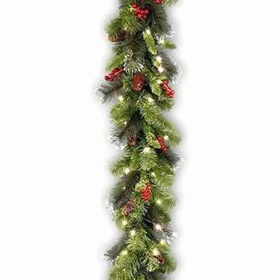 National Tree Company Crestwood Spruce 9-Foot Pre-Lit Garland With Clear Lights • $40