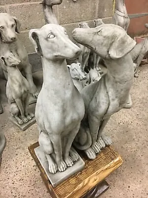 £115 • Buy (NEW) Greyhound/Saluki Garden Stone Ornaments Statue Sculpture Whippet Dogs ESTS