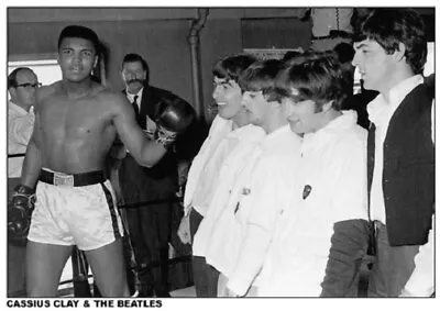 Muhammad Ali Meets Beatles Boxing Music Poster (60x84cm) New Wall Art Print • $19.90