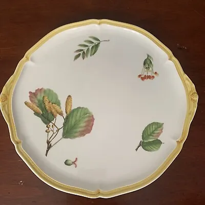 VILLEROY & BOCH Parkland Cake Plate Made In Germany NEW NEVER USED • $100