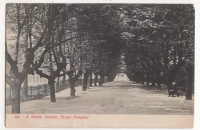 London Royal Hospital A Shady Avenue Gordon Smith Posted 1909 Edwardian Postcard • £4