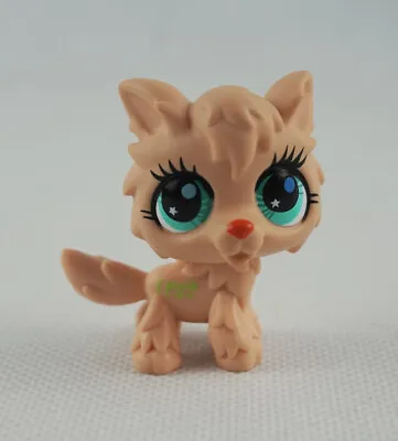 Littlest Pet Shop Kids Toys Puppy Cream Wolf Dog Gift Star Green Eyes LPS #2278 • £10.99