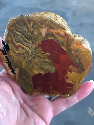 Rare  Morrisonite Porcelain Picture Jasper Lapidary Rough 245 Grams Gorgeous • $500