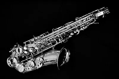 $8699 • Buy New Selmer Paris Supreme Silver-Plated Alto Saxophone