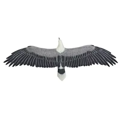 73  Oceanside Flying Seagull Sea Sculpture Patio Poolside Statue 6 Ft. Wingspan • $949.90