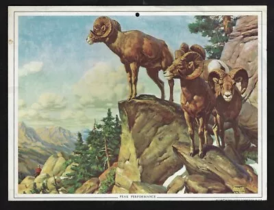 Vintage BIGHORN SHEEP Wildlife Print - Ralph Crosby Smith - 1971 Calendar Page  • $12.75