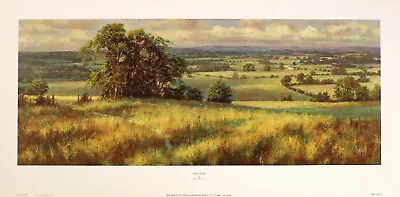 David Dipnall  Days End  English Landscape Green Fine Art Print Collectible • £21.99