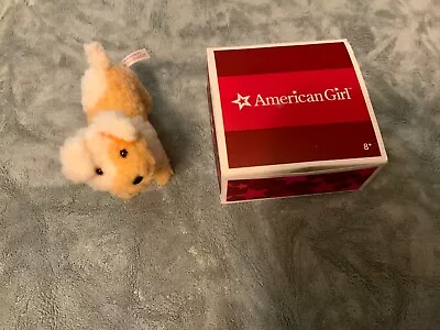 American Girl Emily’s Dog YANK Plush With Red COLLAR Tag 6  Terrier • $38