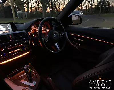 BMW 3 Series F30 F31 F80 Ambient Light Insert Mod Upgrade - FLEX -  AmbientModz • $36.99