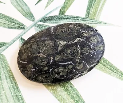 Kambaba Jasper Palm Stone Dream Stone That Helps Find Emotional Balance Staying • £12.99