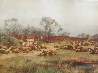 £4.50 • Buy Antique Print 1909 Deer's Hut Inn Wolmer Forest Hampshire From Painting Art