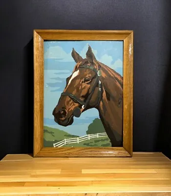 Vtg  Framed Brown Horse Head W/Blue Sky Paint By Number Wall Art 13.5”x 10.5” • $24.99