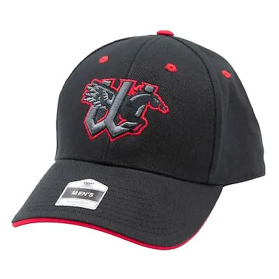 Fan Favorite Minor League Baseball Wichita Wind Surge Adjustable Hat • $15.99
