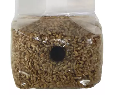 Sterilized Rye Berry Mushroom Substrate With Self Healing Injection Port • $15.50