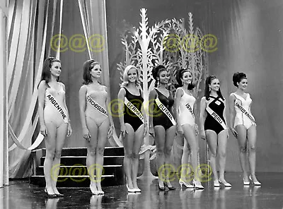 Photo - Miss World 1967 Winner Miss Peru And The Other Finalists • $6.25