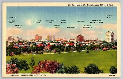 Amarillo Texas TX - Skyline From Ellwood Park - Vintage Postcard - Unposted • $5.94