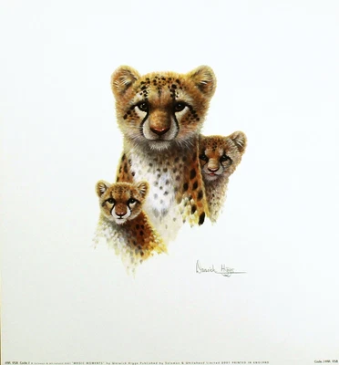 £18.19 • Buy WARWICK HIGGS Magic Moments CHEETAH Cubs Art Print NEW SIZE:36cm X 33cm  RARE