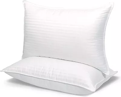 2 Laura Benasse Pillows Luxury Plus Queen Size Hotel Standard Microfiber Set/2 • $21.59