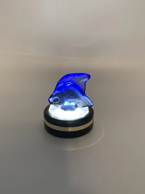 Lalique Crystal Cobalt Blue Fish Signed 2” X 2”  France Art Glass Fish Read • £123.51