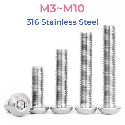 316 Stainless Steel Hexagon Hex Socket Button Head Allen Screw Bolt M3~M10  • $3.47