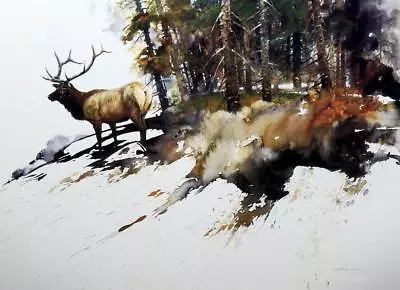 High Elk Country By Morten E. Solberg Elk Print 27x20.75 • $65.50