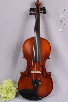 6 String Electric Violin Acoustic Violins 4/4 Spruce Maple Free Case Bows • $504.14