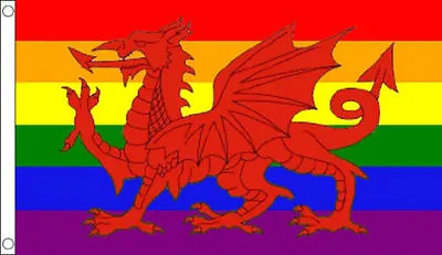 Rainbow Welsh Dragon Gay Pride Flag 5 X 3 FT - 100% Polyester With Eyelets Wales • £6.99