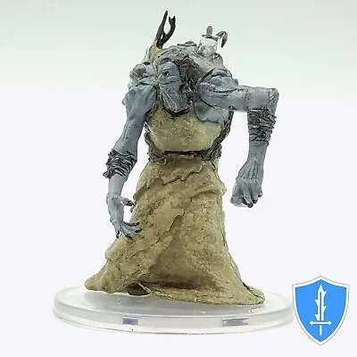 Annis Hag - Waterdeep Dragon Heist #26A D&D Miniature • $4.59